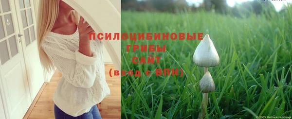 Альфа ПВП Бугульма