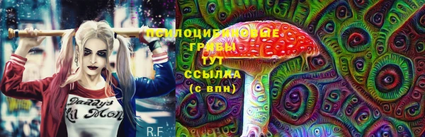 герыч Бронницы
