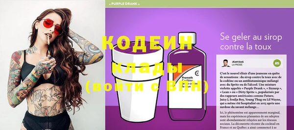 спиды Бородино