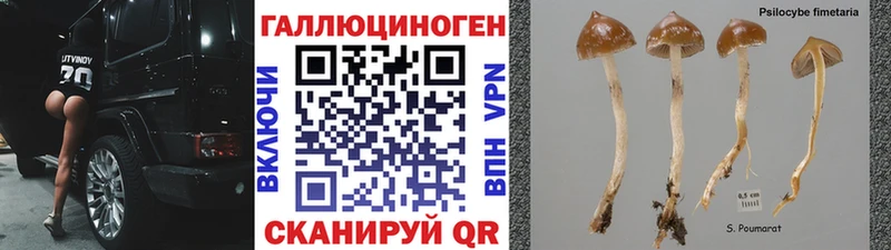 Галлюциногенные грибы мухоморы  купить наркотики цена  kraken ссылки  Северск 