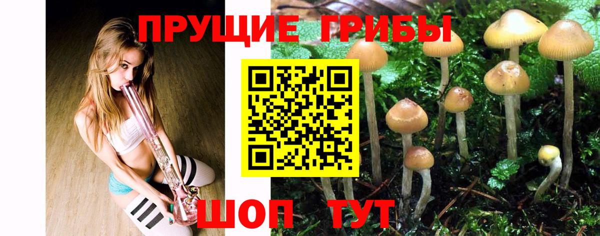 Северск  Галлюциногенные грибы Magic Shrooms  Вход с VPN 